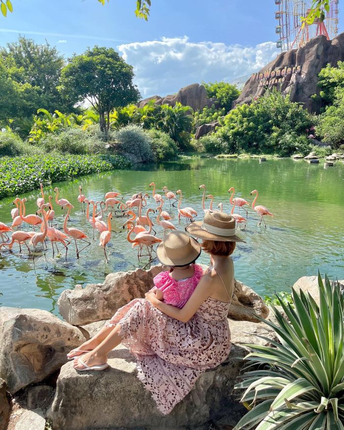 điểm du lịch cho gia đình ở Nha Trang Vinpearl Land Nha Trang