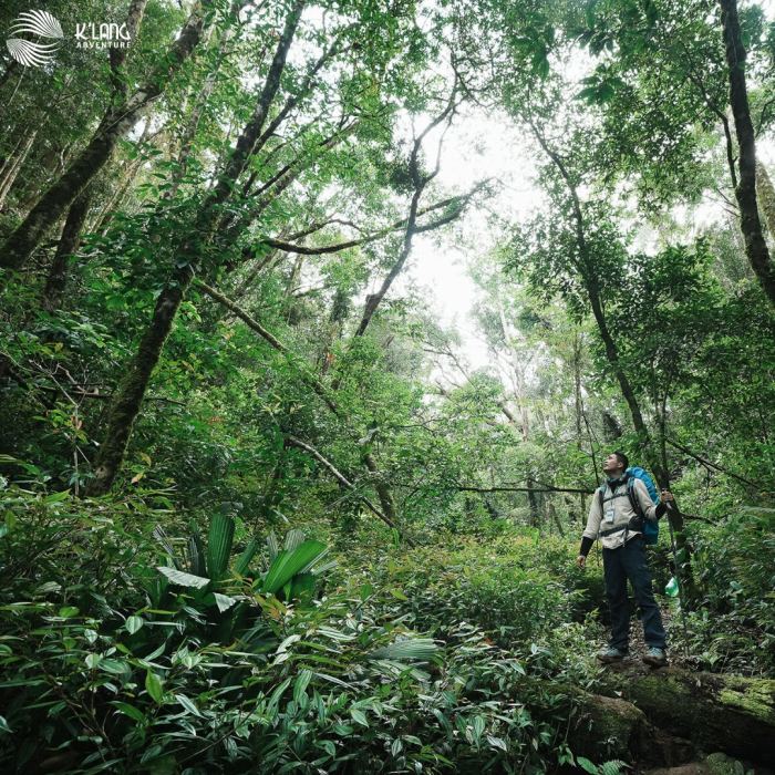 điểm trekking ở Đà Nẵng Tây Giang
