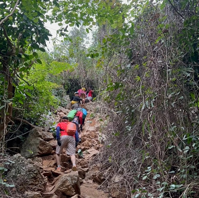 đỉnh Hải Quân Cát Bà - trekking