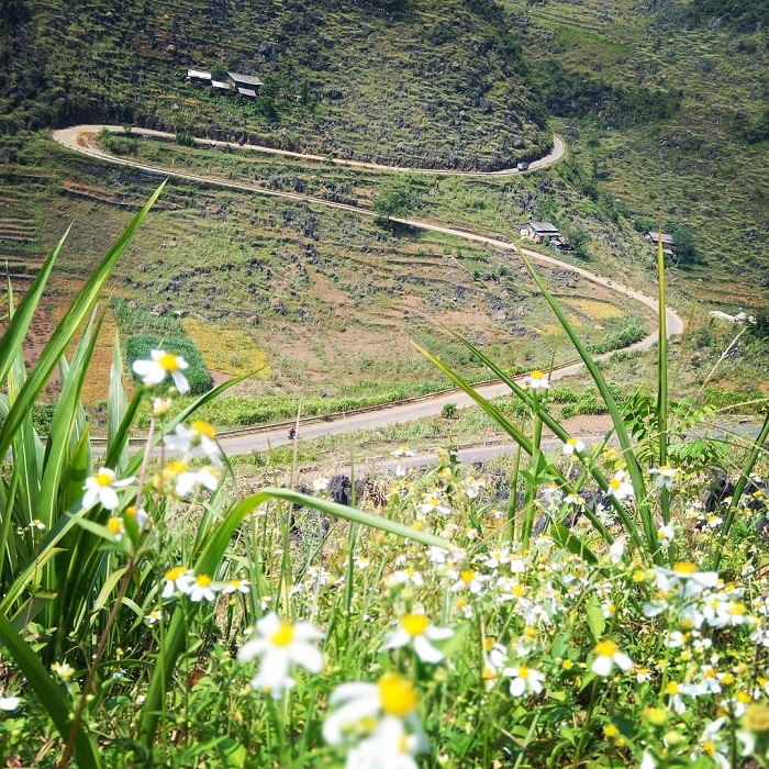 Lưu ý khi khám phá dốc chữ M Hà Giang 