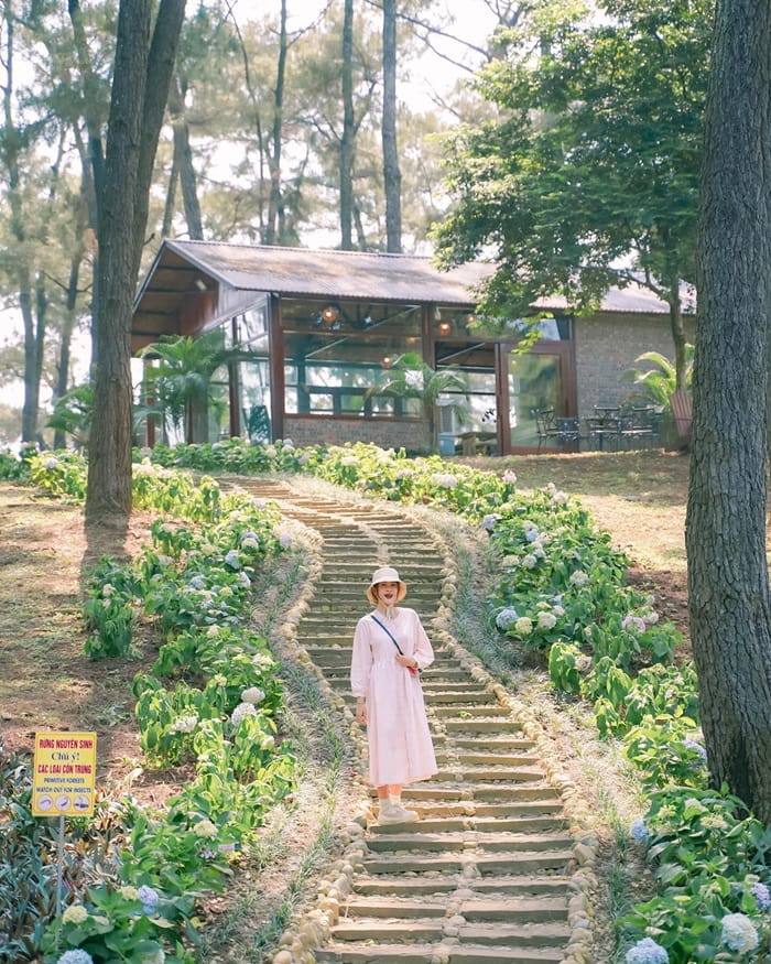 đồi thông hồ Đồng Chương Ninh Bình - vị trí