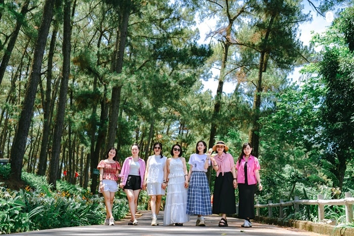 đồi thông hồ Đồng Chương Ninh Bình - check in