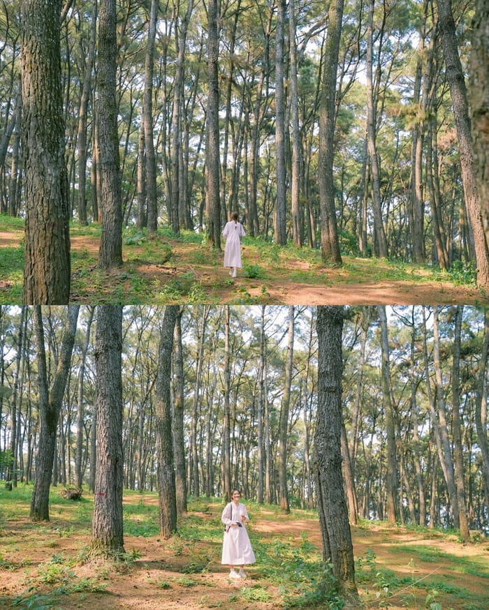 đồi thông hồ Đồng Chương Ninh Bình - không gian