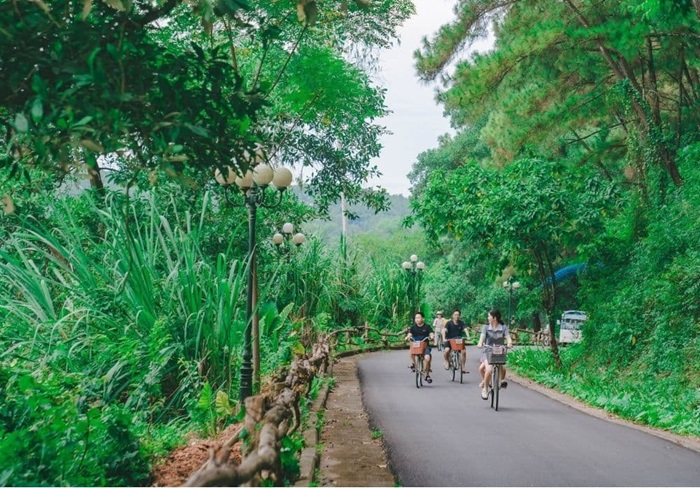 đồi thông hồ Đồng Chương Ninh Bình - giá vé