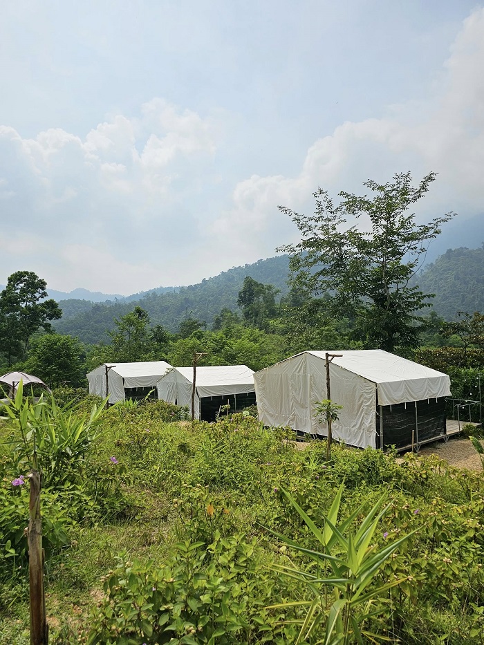 Hachi Camping Thái Nguyên cung cấp những căn lều sạch sẽ gọn gàng