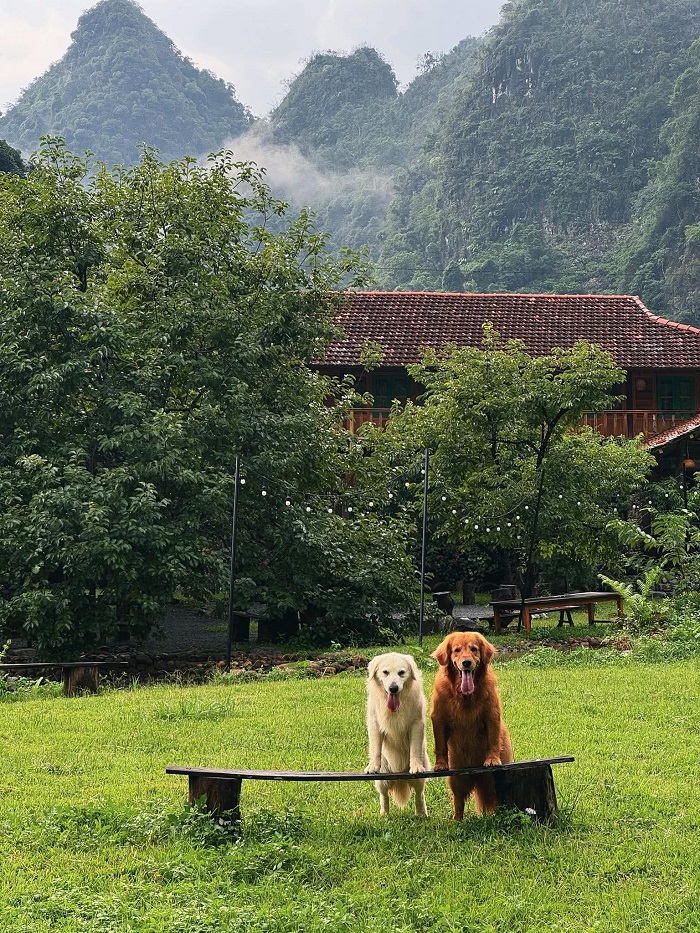 Phong Sơn Retreat là một homestay đẹp ở Hữu Lũng rất được yêu thích