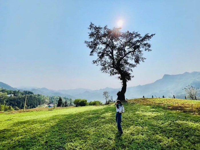 Khám phá Bản Phố Bắc Hà - vùng đất còn đầy hoang sơ thơ mộng 