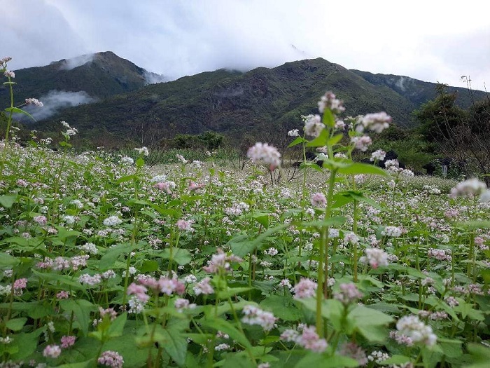 Tà Mung Lai Châu toát lên vẻ đẹp dịu dàng