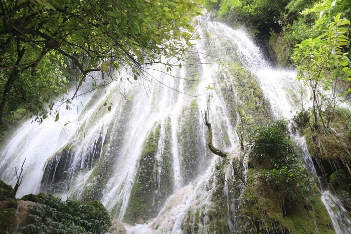 Thác Rêu Sìn Hồ đẹp như tranh