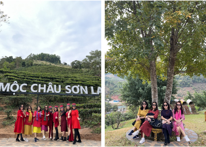 Đi Mộc Châu theo tour không phải lo lắng về lịch trình - Ảnh: Fanpage Lữ Hành Việt Miền Trung