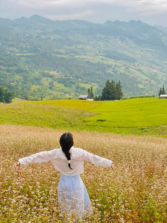 Check-in hoa tam giác mạch ở Hà Giang - Ảnh: Vietravel Check-in hoa tam giác mạch ở Hà Giang - Ảnh: Vietravel