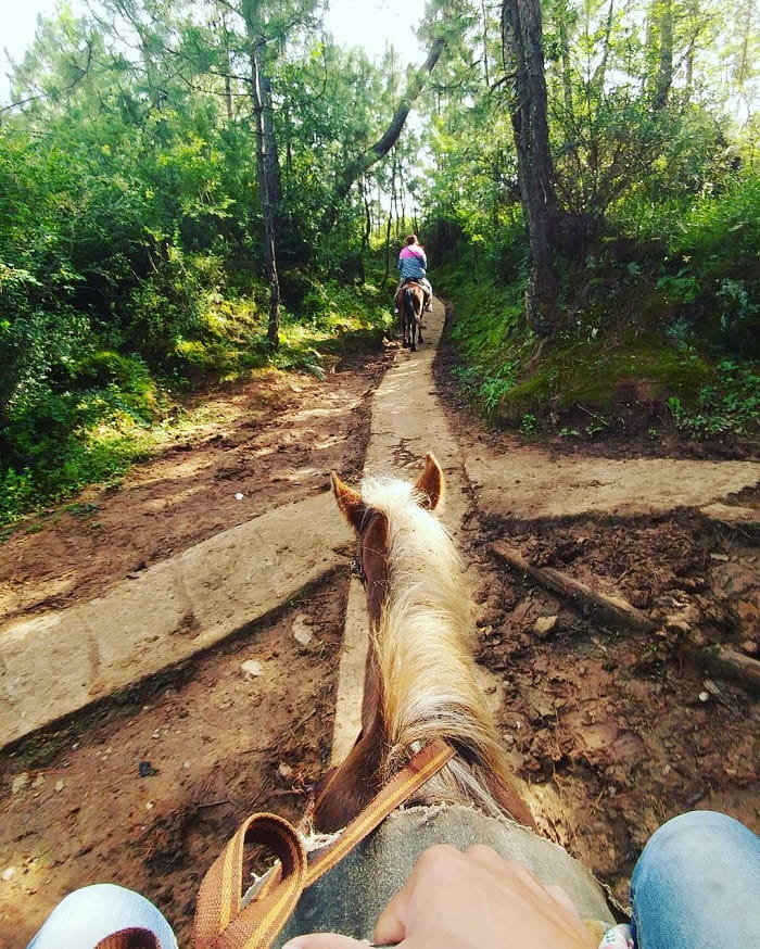 Vẻ đẹp của hồ Lashi Lệ Giang