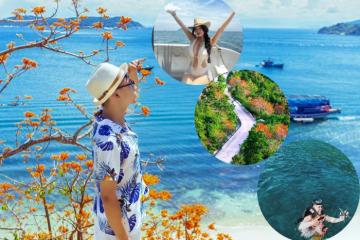 Kinh nghiệm đi lễ hội hoa ngô đồng Cù Lao Chàm chuẩn chỉ từ A đến Z