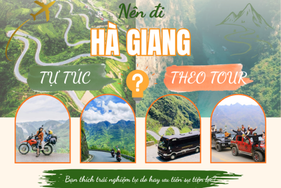 Nên đi Hà Giang tự túc hay theo tour? Đọc ngay trước khi quyết định