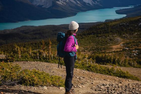 Lạc bước giữa thiên nhiên hoang dã tại vườn Quốc gia Jasper Canada