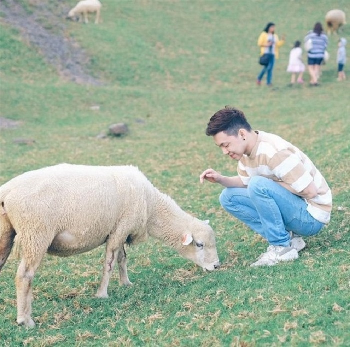 Nông trại cừu Cingjing Farm