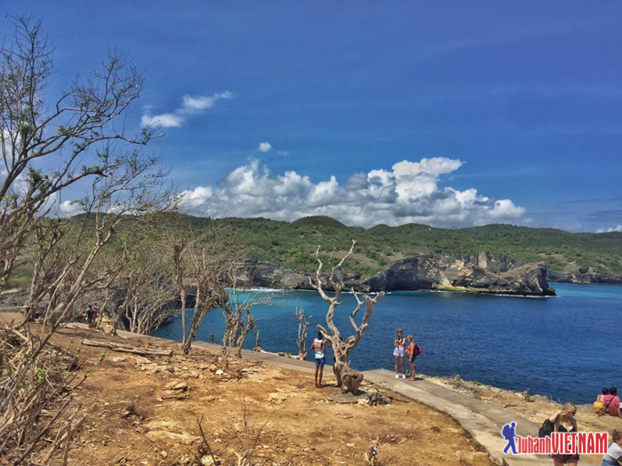 du-lich-ba-li-cuc-chi-tiet18