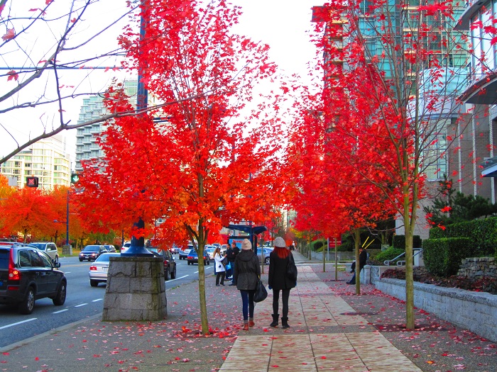 Nên đi du lịch nước nào vào tháng 9 