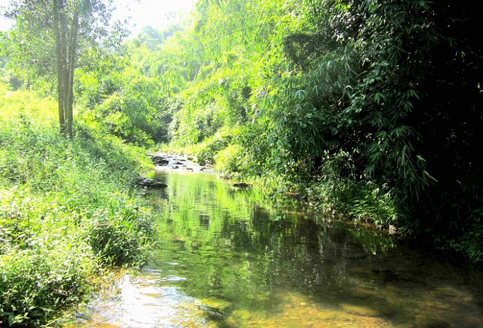 khu-du-lich-ao-gioi-suoi-tien-phu-tho-2