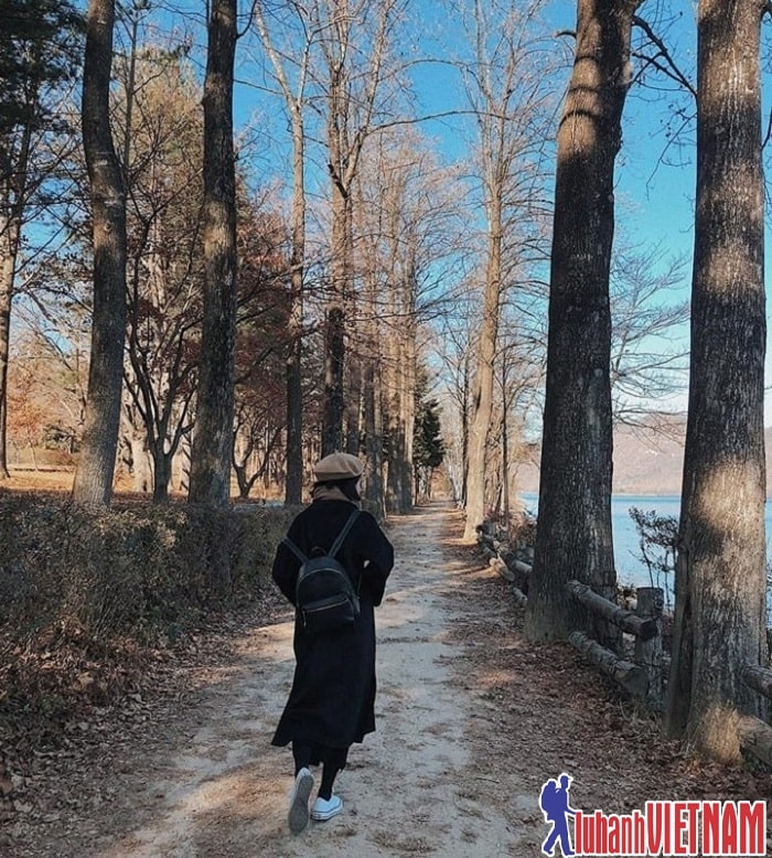 Kinh nghiệm du lịch Hàn Quốc tự túc của cô nàng Linh Bún chi tiết từ A-Z