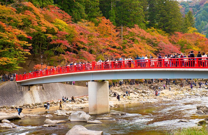 du lịch Nhật Bản mùa thu lá đỏ 2019