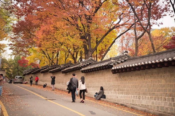 Trời thu gõ cửa, du khách tới đâu để hưởng trọn mùa thu Hàn Quốc?