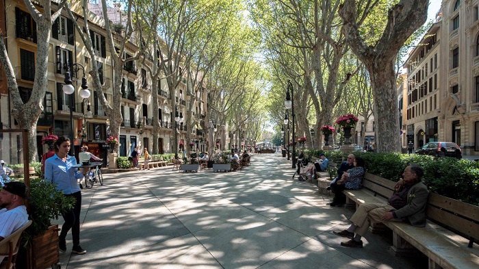 Đảo Mallorca Tây Ban Nha