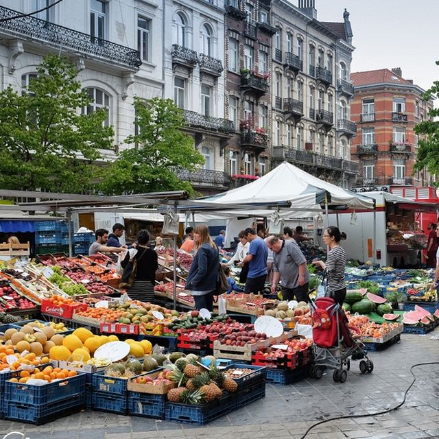 thị trấn cảng Toulon