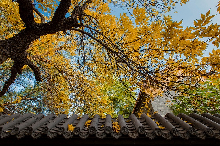 Nên đi du lịch nước nào vào tháng 9 