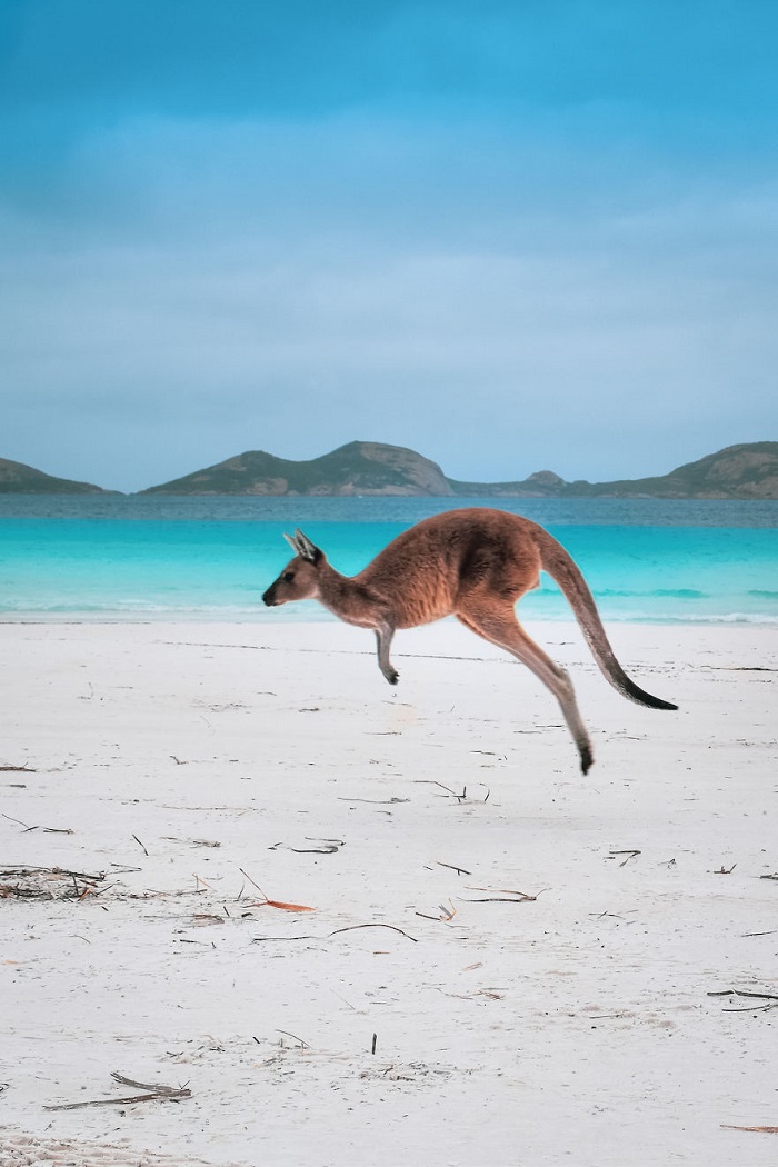 Những địa điểm du lịch đẹp ở Tây Úc