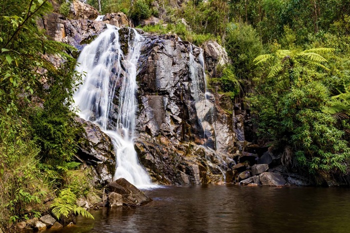 Thác Steavenson - thác nước có thể bơi ở Úc