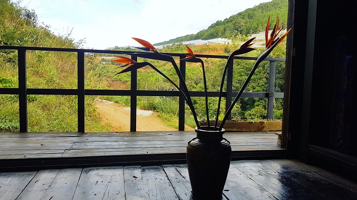 Free Homestay in Da Lat - a peaceful place to return called Nha Gio 2