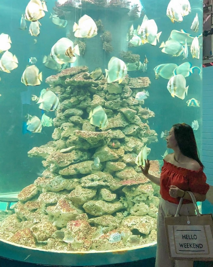 viện Hải Dương học Nha Trang - các bể cá