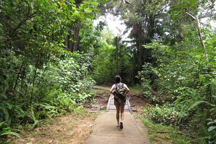 Khám phá công viên quốc gia Bako – Malaysia