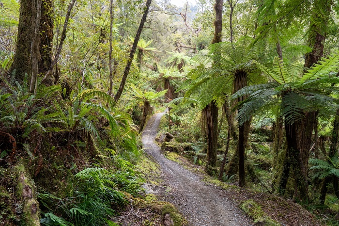 Khám phá những địa điểm du lịch bờ Tây New Zealand hoang sơ nhất