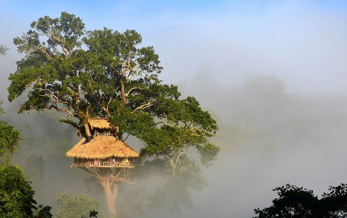 Khu bảo tồn thiên nhiên Bokeo Lào