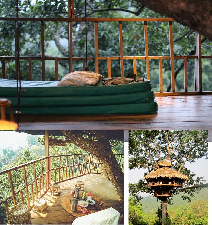 Nhà trên cây ở Khu bảo tồn thiên nhiên Bokeo Lào