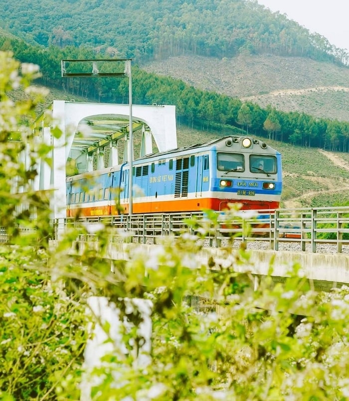 Kinh nghiệm du lịch Bình Thuận - di chuyển bằng tàu hỏa