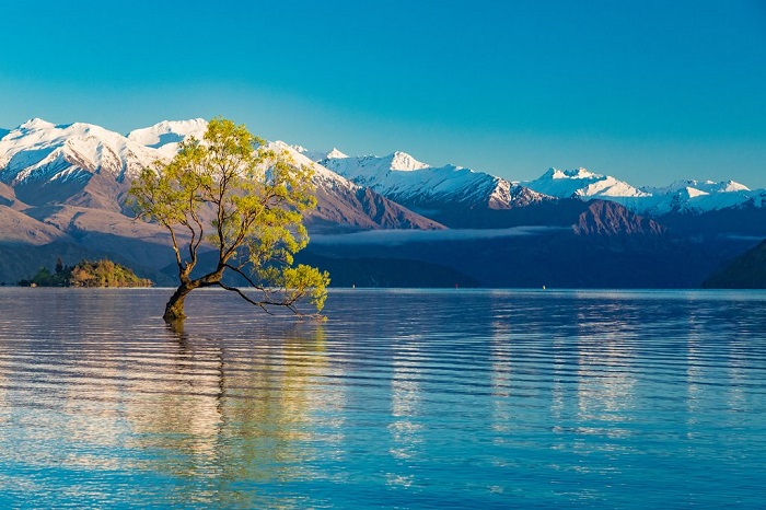 Du lịch đến hồ Tekapo New Zealand