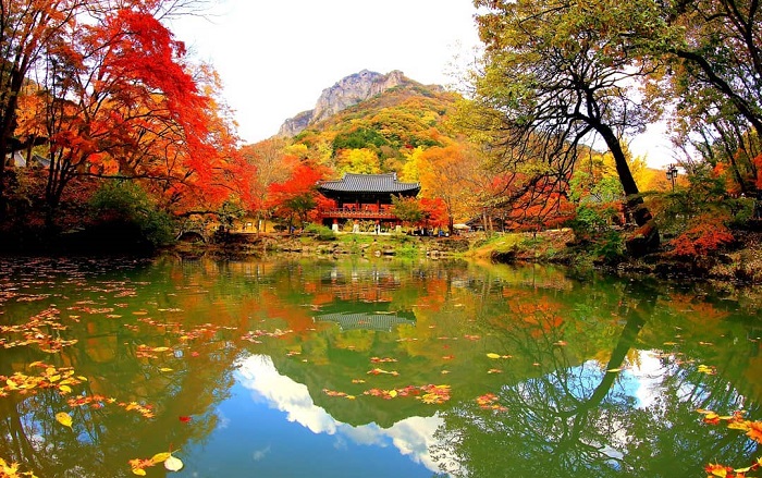những ngôi chùa đẹp ở Hàn Quốc - Baekyangsa