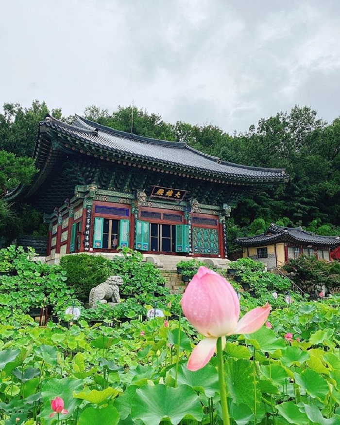 những ngôi chùa đẹp ở Hàn Quốc - Bongwonsa