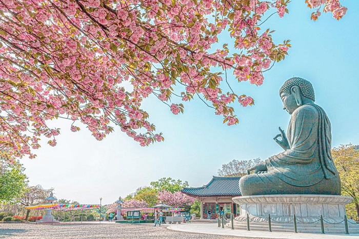 những ngôi chùa đẹp ở Hàn Quốc - địa điểm check in tuyệt đẹp