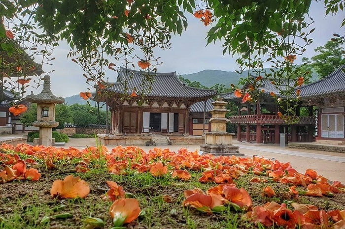 những ngôi chùa đẹp ở Hàn Quốc - Tongdosa