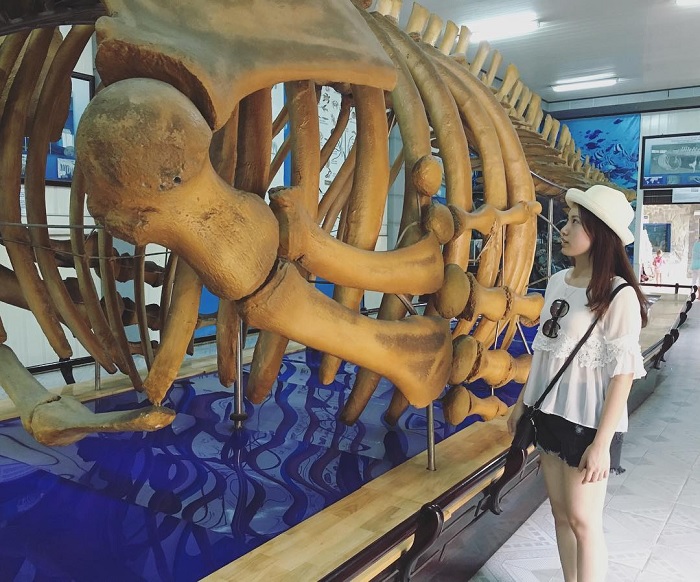 viện Hải Dương học Nha Trang - xương cá voi