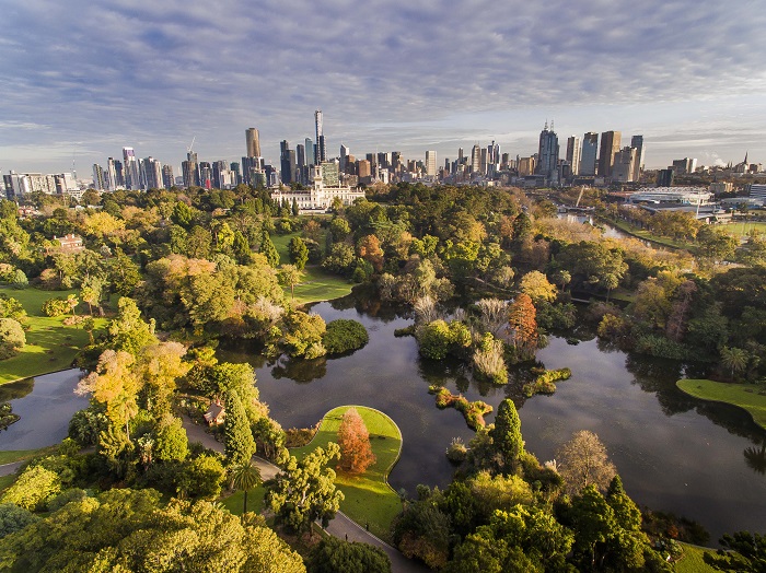 Vườn Bách thảo Hoàng gia Melbourne bao gồm 94 mẫu cây xanh
