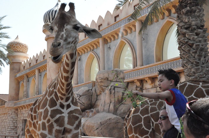 Vườn thú Emirates Park - Địa điểm du lịch Abu Dhabi