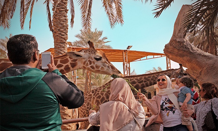 Công viên Emirates  - Đảo Yas Abu Dhabi
