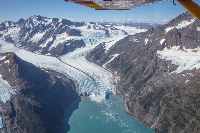 Vườn quốc gia Glacier Bay - Kinh nghiệm du lịch Alaska