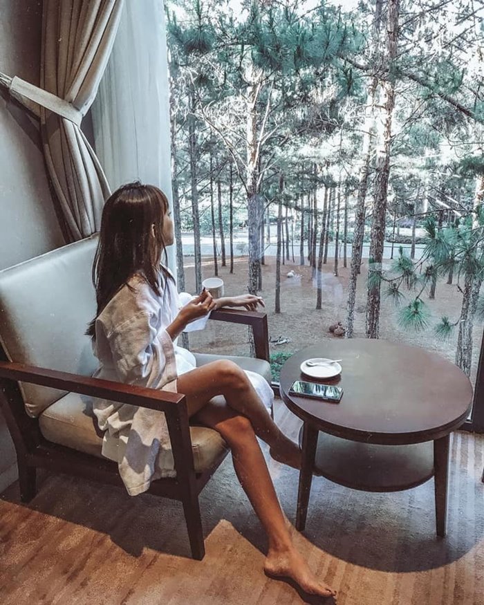Terracotta Hotel & Resort Dalat - khu nghỉ dưỡng giữa rừng ở Đà Lạt