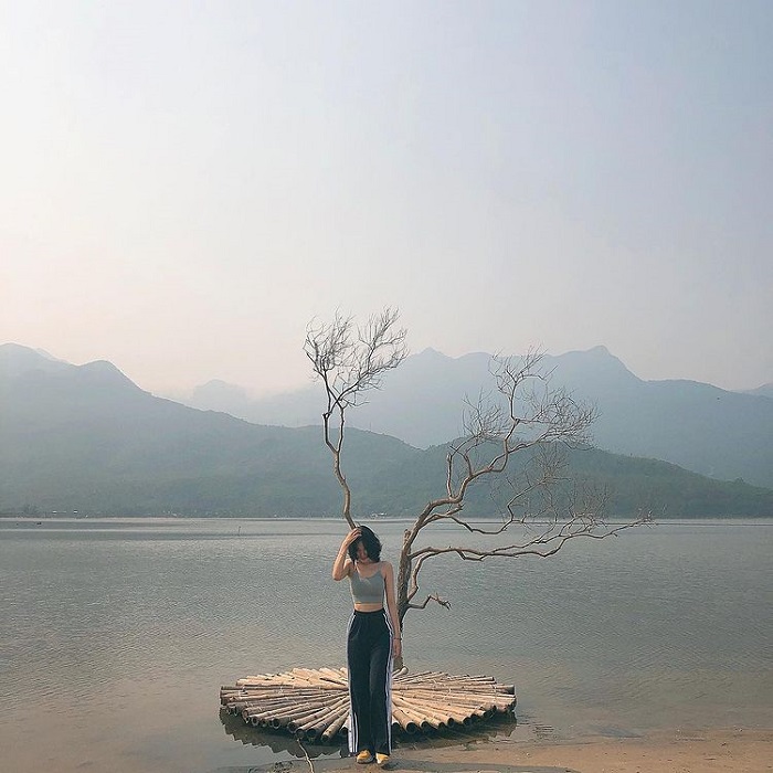 In addition to the lonely tree in the West Lake of Vietnam, there is also a lonely tree in Lap An lagoon